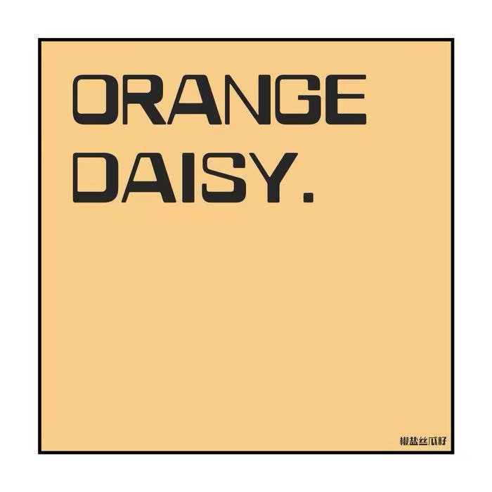 【音乐】ORANGE DAISY